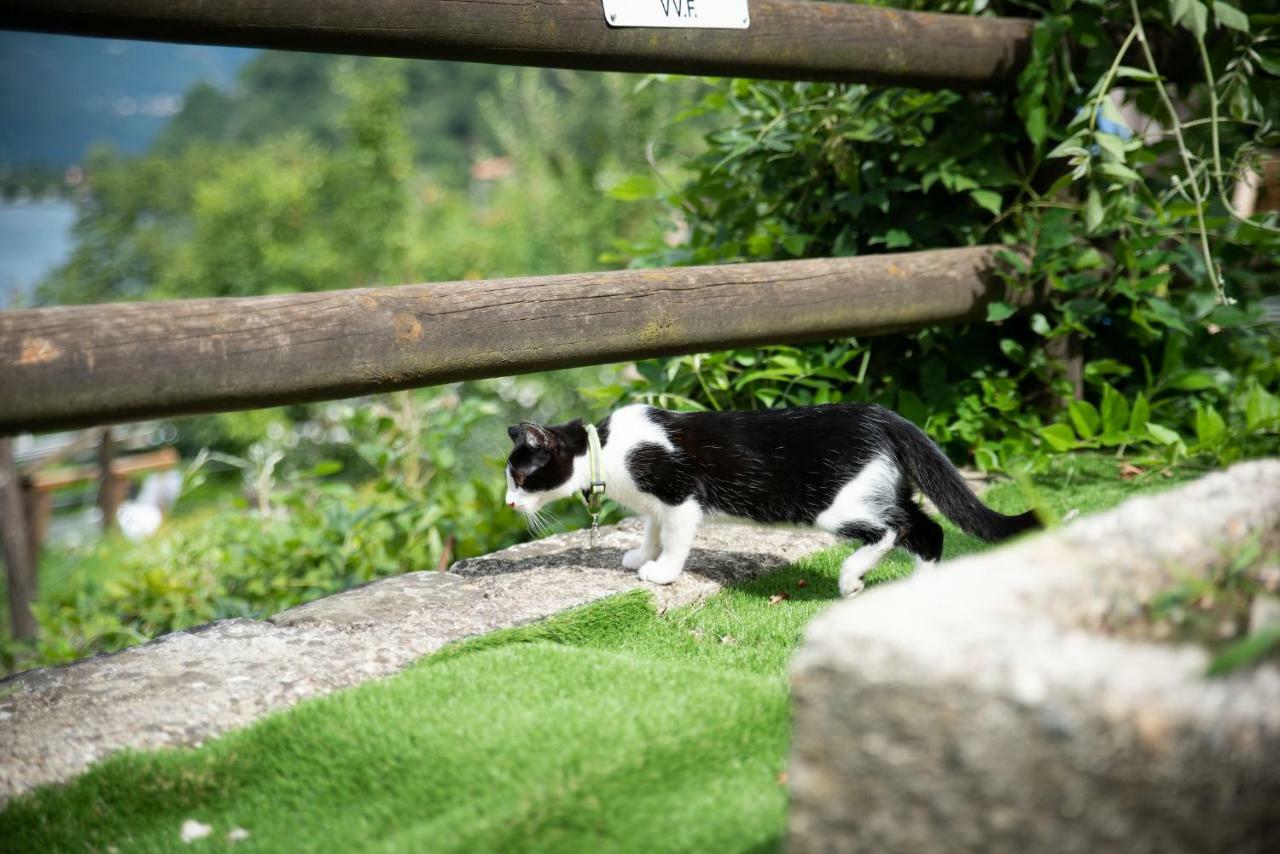 Hotel Bocciolo Orta San Giulio Zewnętrze zdjęcie